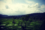 Benoa Port: Salak Agro Jeep Village Bali