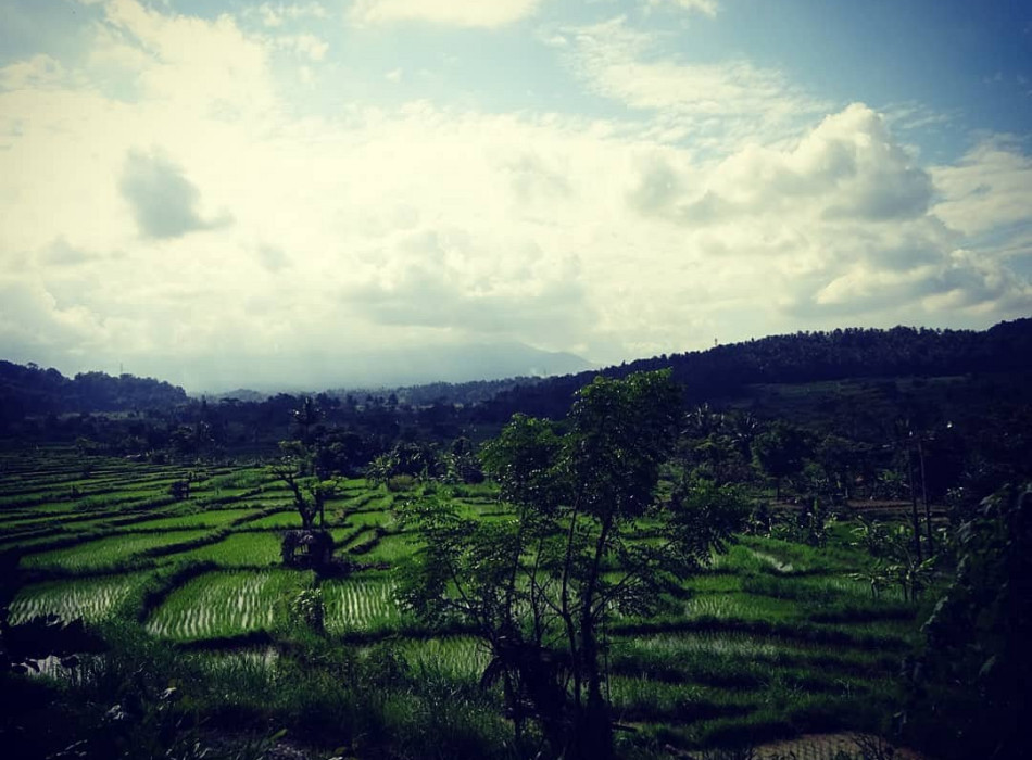 Benoa Port: Salak Agro Jeep Village Bali