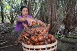 Benoa Port: Besakih Mother Temple Tour Bali