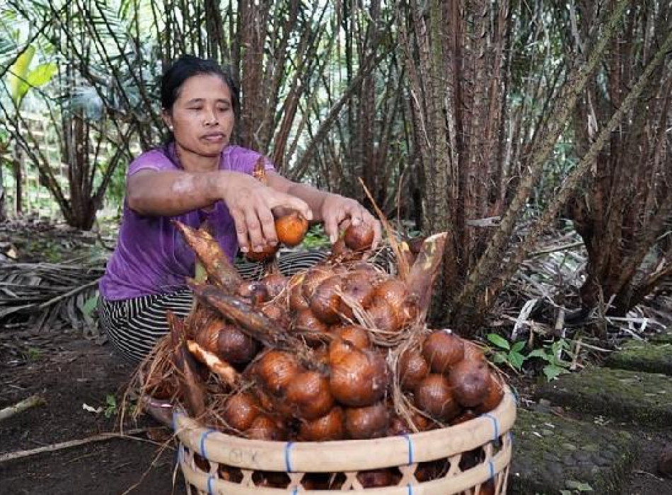 Benoa Port: Besakih Mother Temple Tour Bali