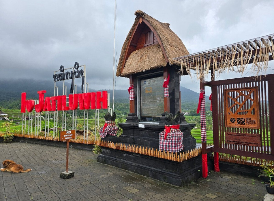 Benoa Port: Jatiluwih Tanah Lot Tour Bali