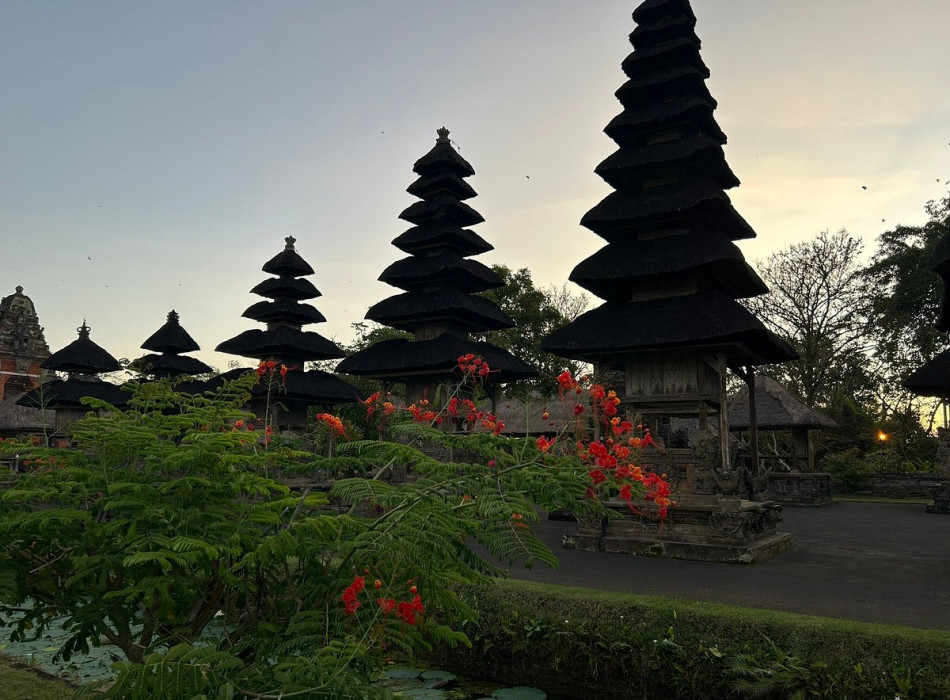 Benoa Port: Jatiluwih Tanah Lot Tour Bali