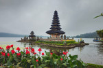 Benoa Port: Jatiluwih Tanah Lot Tour Bali