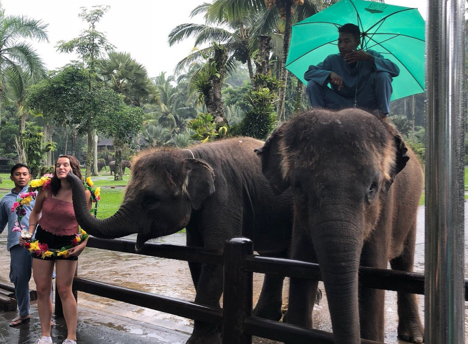 Benoa Port: Ubud Elephant Safari Ride Tour Bali
