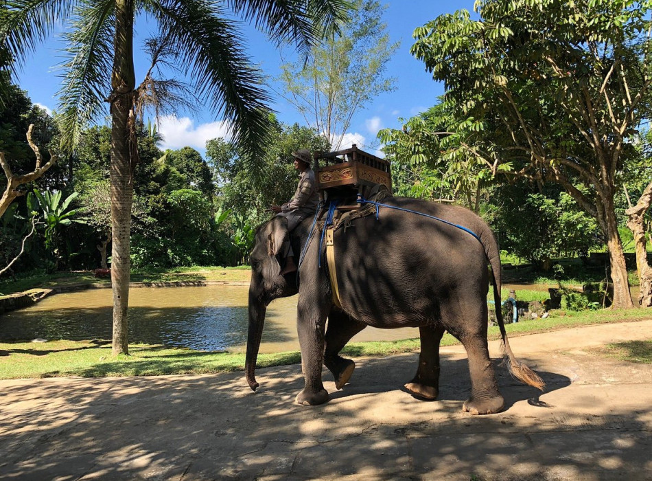 Benoa Port: Ubud Elephant Safari Ride Tour Bali