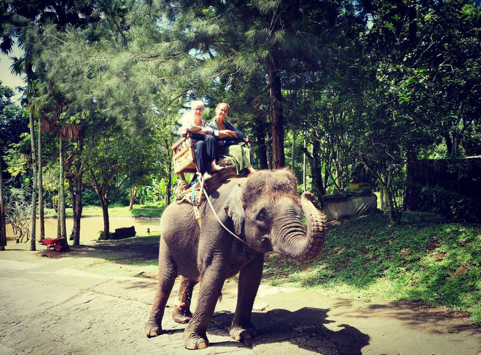 Benoa Port: Ubud Elephant Safari Ride Tour Bali