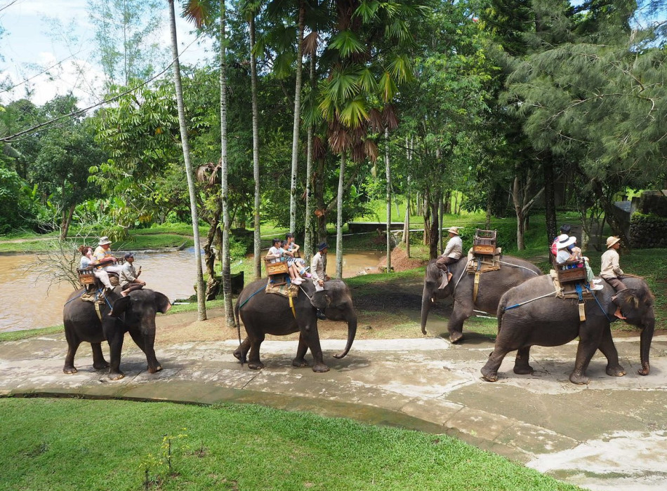 Benoa Port: Ubud Elephant Safari Ride Tour Bali