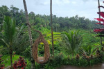 Benoa Port: Ubud Elephant Safari Ride Tour Bali