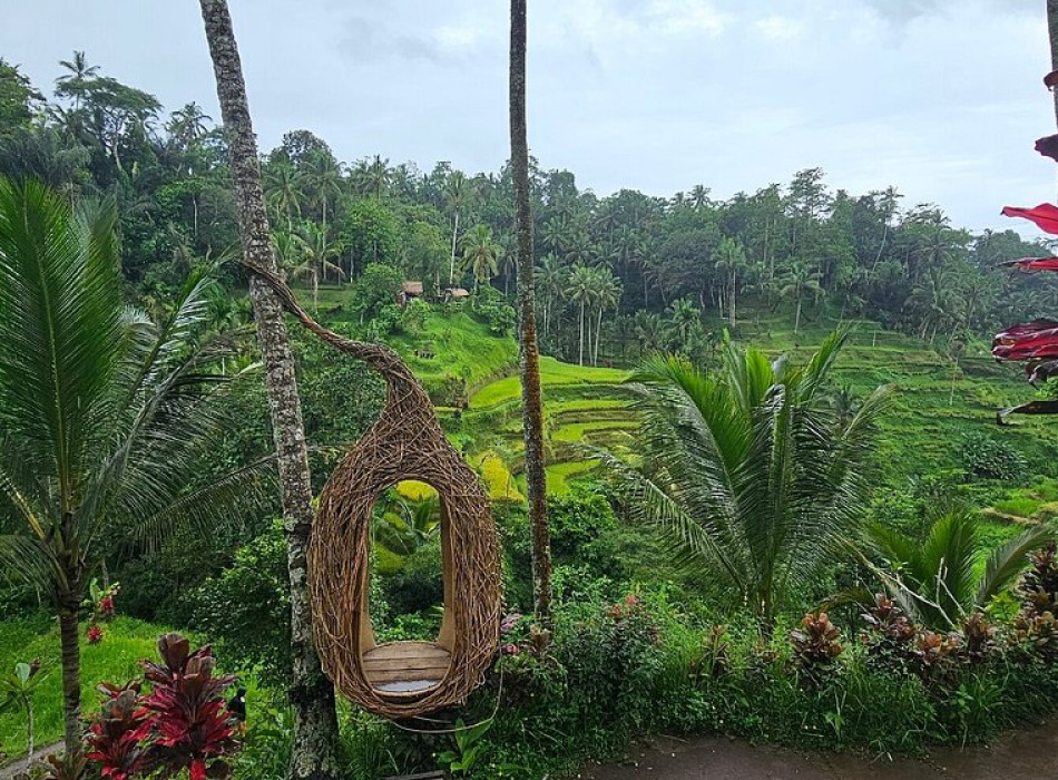 Benoa Port: Ubud Elephant Safari Ride Tour Bali