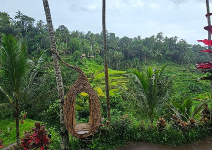 Benoa Port: Ubud Village Tour Bali