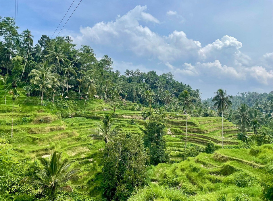 Benoa Port: Ubud Village Tour Bali