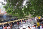 Benoa Port: Kintamani Full-day Tour Bali