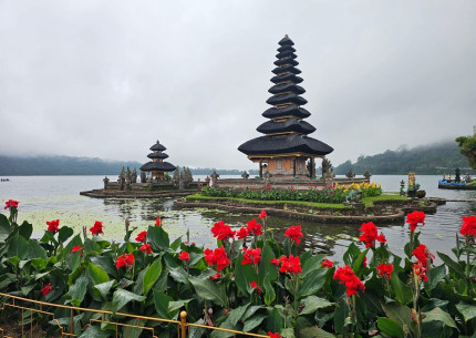 Shore Excursion from Bali Port