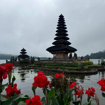 Shore Excursion from Bali Port