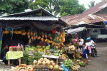 Minahasa Half day tour from Seabourn Quest ( Bitung Port Manado )
