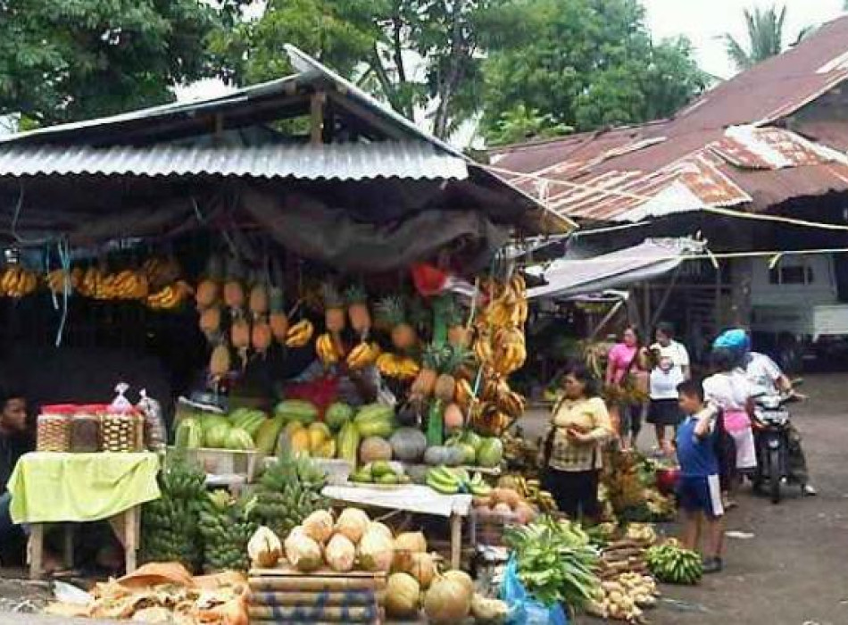 Minahasa Half day tour from Seabourn Quest ( Bitung Port Manado )
