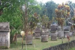 Minahasa Half day tour from Seabourn Quest ( Bitung Port Manado )