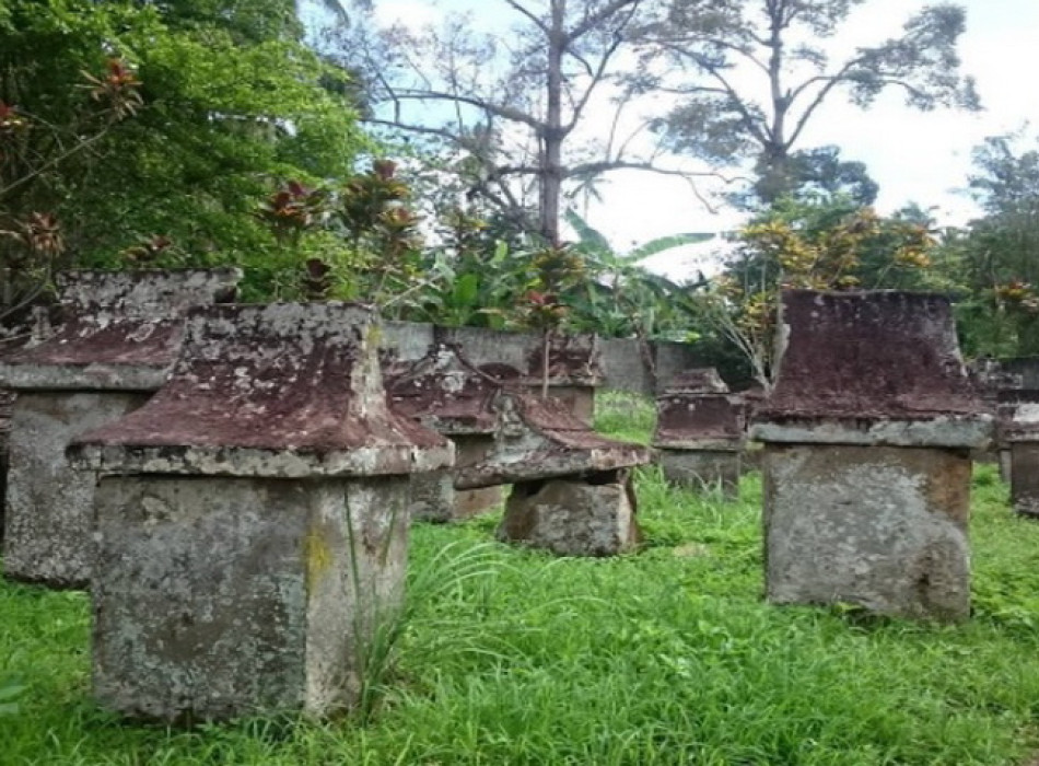 Minahasa Half day tour from Seabourn Quest ( Bitung Port Manado )