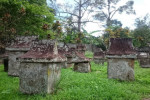Minahasa Half day tour from CUNARD Queen Anne ( Bitung Port Manado )