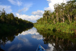 Orangutan Tanjung Puting 3D2N