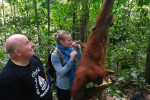 Orangutan Tanjung Puting 4D3N