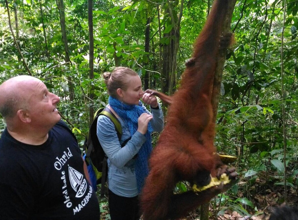 Orangutan Tanjung Puting 4D3N
