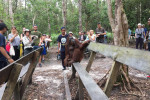 Orangutan Tanjung Puting 4D3N