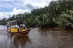 Orangutan Tanjung Puting 4D3N