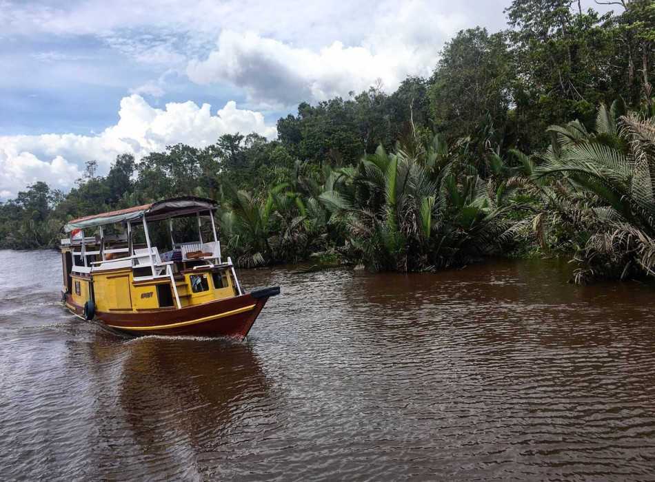 Orangutan Tanjung Puting 4D3N