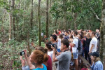 Orangutan Tanjung Puting 4D3N