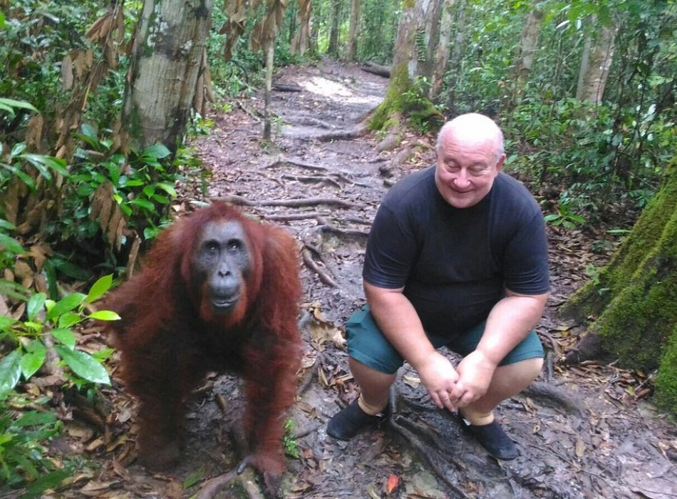 Orangutan Tanjung Puting 4D3N