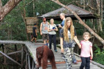 Orangutan Tanjung Puting 4D3N