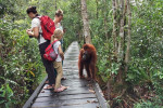 Orangutan Tanjung Puting 4D3N